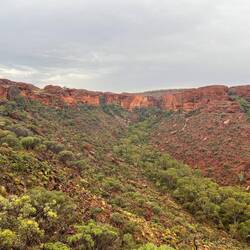 Der Kings Canyon
