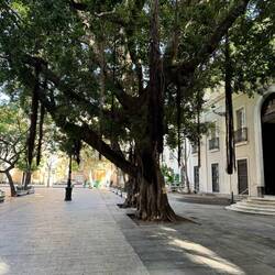 The Museum of Archaeology