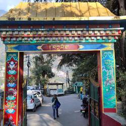 Auf Wiedersehen Tushita