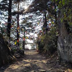 Hinein in den Retreat-Wald