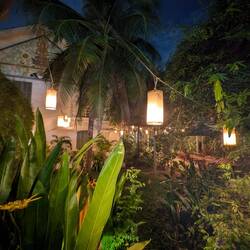 525 Eat & Drink: A cute restaurant with lanterns in the garden.