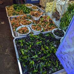 Food market: Some insects for dinner?