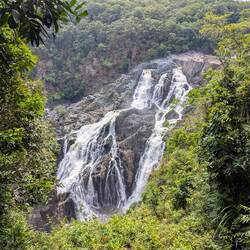 Auch ein toller Blick