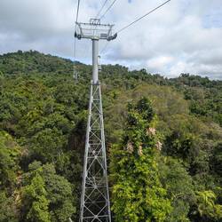 Klasse Arbeit, mitten im Regenwald