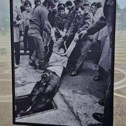 Der arme Kerl wollte Kupferkabel klauen um essen für seine Kinder zu kaufen. War halt Strom drauf.