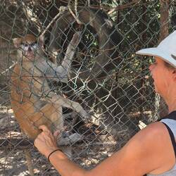 Nur diese würden abhauen und sitzen deshalb hinter Gittern