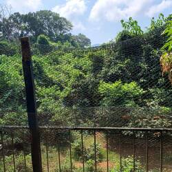 Netze und Gitter als Schutz vor Steineinschlägen