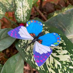 Attrappe - Flog nicht weg