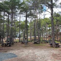 ..mich an einem Picknickplatz vorbeilotsen, und..