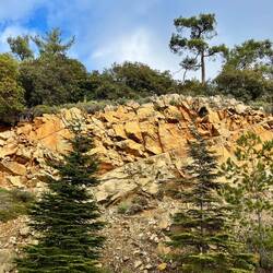 ..mich noch für einige Meter begleitet.