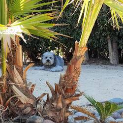 Favorite spot when it's hot