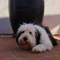 His ball and his tongue 👅😁