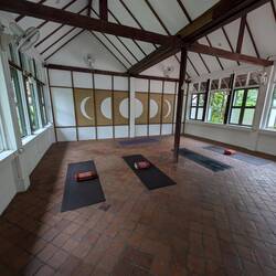 Grasshopper Yoga Studio