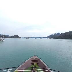 All the tour ships are heading out into the bay