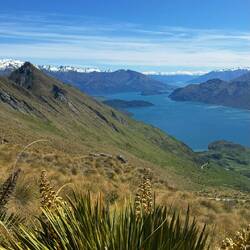 Roys Peak Track