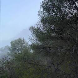 Vom Nebel ...