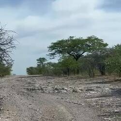 Die Strassenverhältnisse...