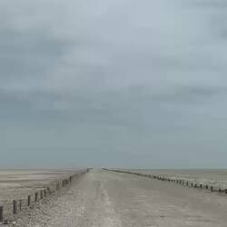 The long unwinding road - in die Etosha-Pfanne
