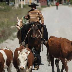 A gaucho, or South American cowboy.
