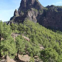 Caldera de Taburiente
