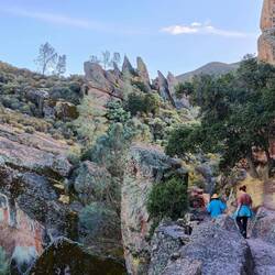 Up the valley, Pinnacles National Park