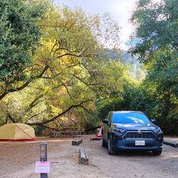 Camp setup under beautiful big Oak trees, in the brief sunshine