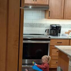 You get them expensive presents and they want to play with the broom