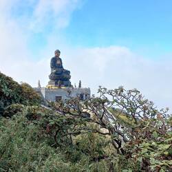 The great Amitabha Buddha statue