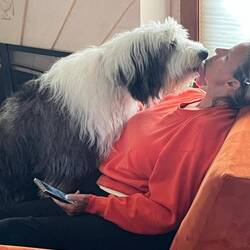 Heellooo, some attention here please!!!