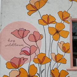 Connecting with these colors🩷🧡