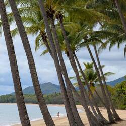 Palm Cove