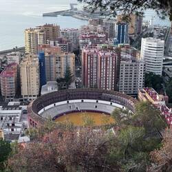 Downtown Bullfight Ring