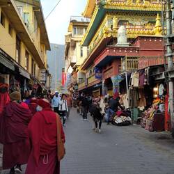 Monks, cow and temple in McLeod Ganj main road