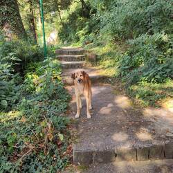 Good bye buddies, be well and take care!