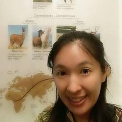 Still unable to tell alpaca from llama