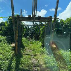 Und hier an Schienen durchs Feld, in die Fabrik gebracht ☺️