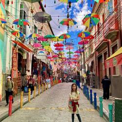 Lou a l'abri de la pluie !