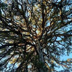 Am Weg zurück komme ich an einer..