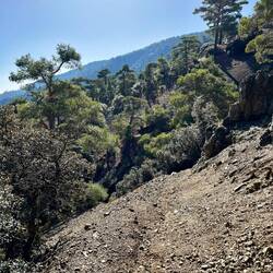 Ich verlasse Troodos und habe meinen Spaß..