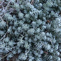 ..ist mehr als nur frostig! ❄️