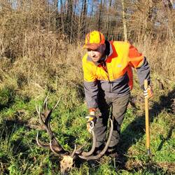 Ziemlich abnorm! Der Hirsch auch!