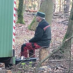Nach Weihnachten werden sie häufig ausgesetzt!