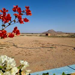 Blick zurück vom Weekendhaus auf den Jebel Zagora.