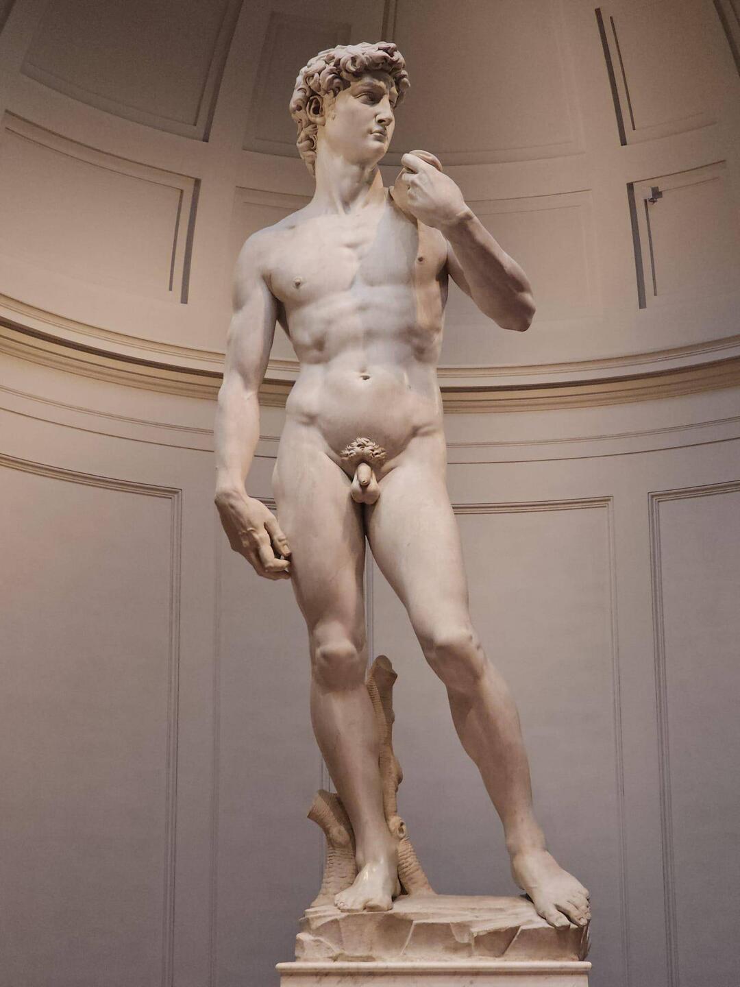 David: sous toutes les coutures c'est un chef d'oeuvre! Saviez vous qu'il a les pupilles en coeur?