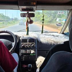 Die Rückfahrt im Minibus