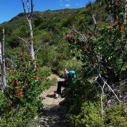 Ohni Netz muess me halt d'Karte studiere😉