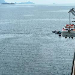 Tenders up, the Komodo boys hang close begging