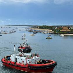 In come the tugs