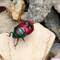 Red Jewel Bug