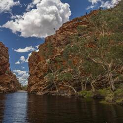 Ellery Creek